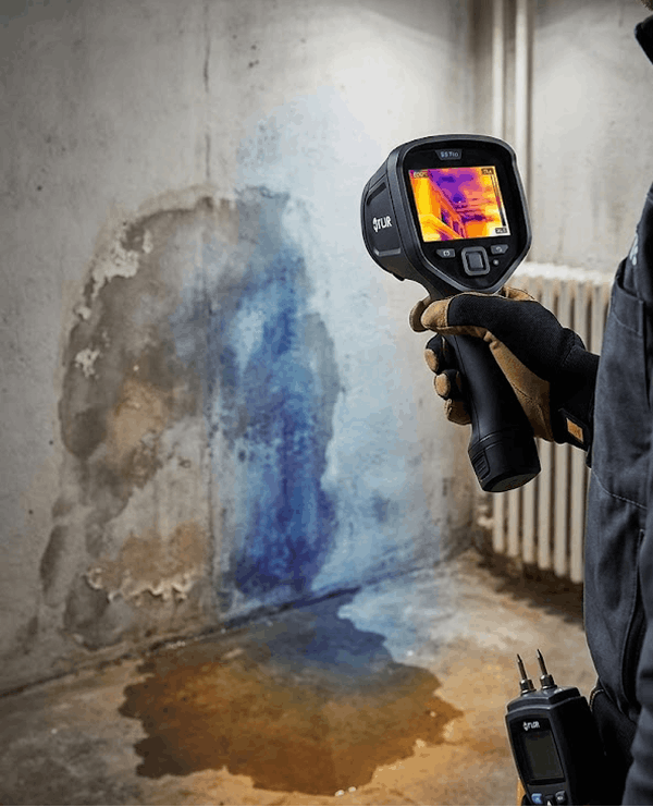 Damp Wall Inspect - london damp