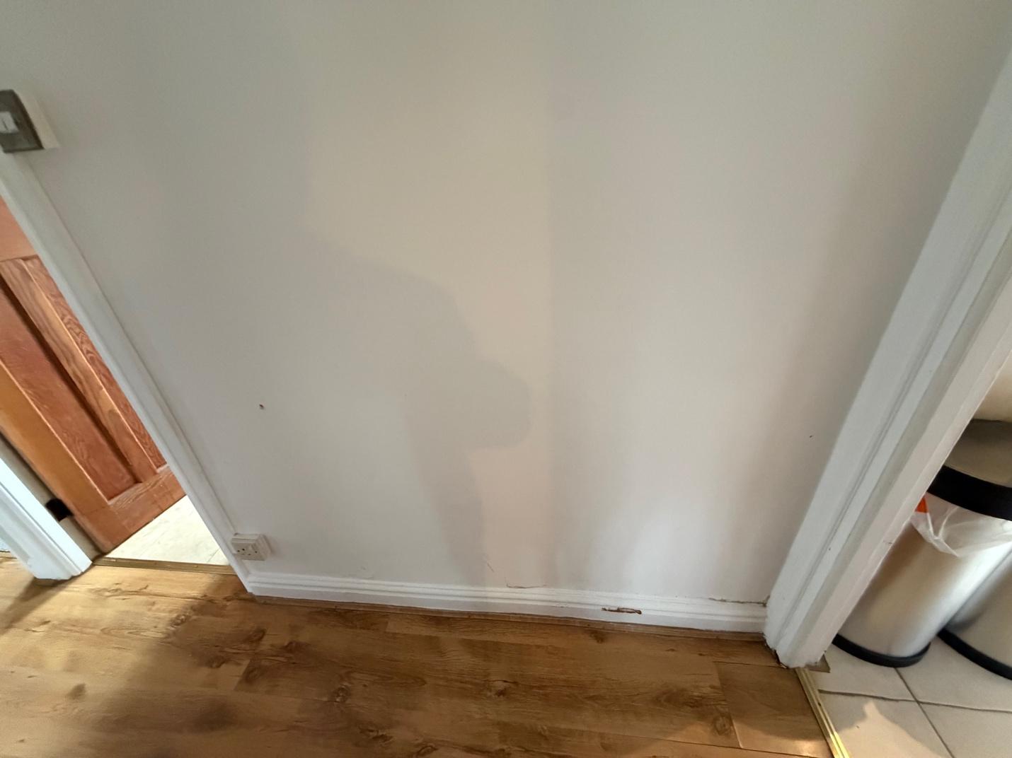 Level 2 Damp Survey in Earl’s Court (SW5)