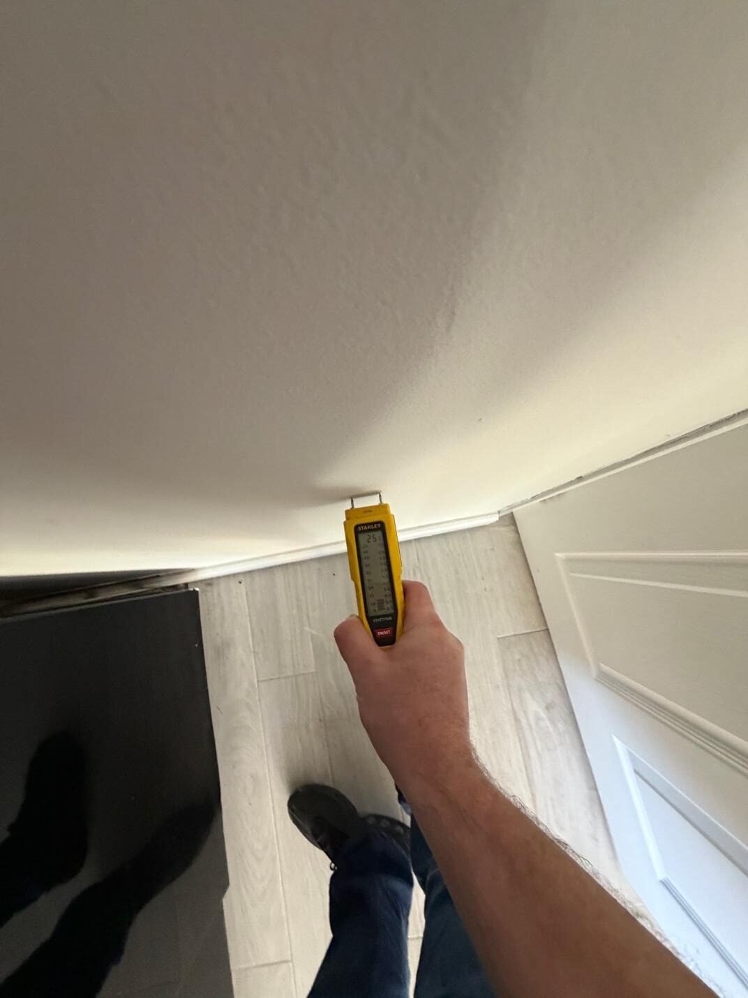 Level 2 Damp Survey in Lower Clapton (E5)