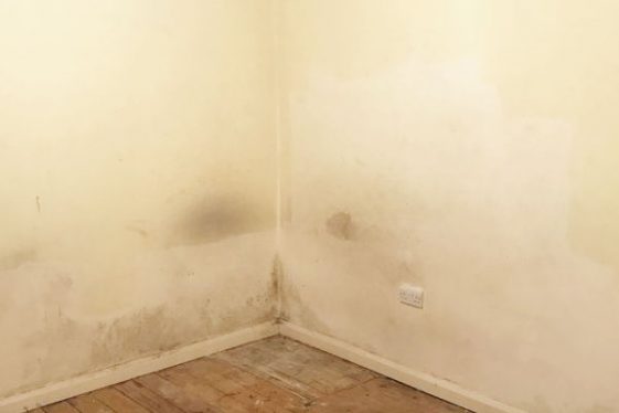 damp-house-problems-how-to-identify-damp-problems